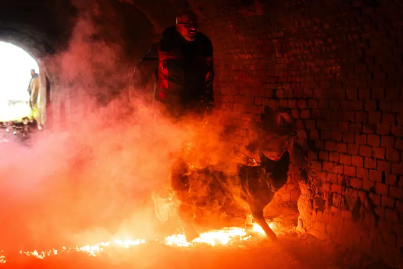 Dog beside a handler in a smoke-filled brick passageway.